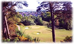 alness golf course