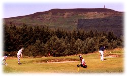 golspie golf course